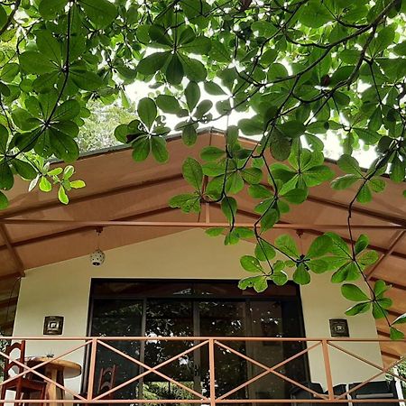 דירות קאוויטה Casa Martina מראה חיצוני תמונה